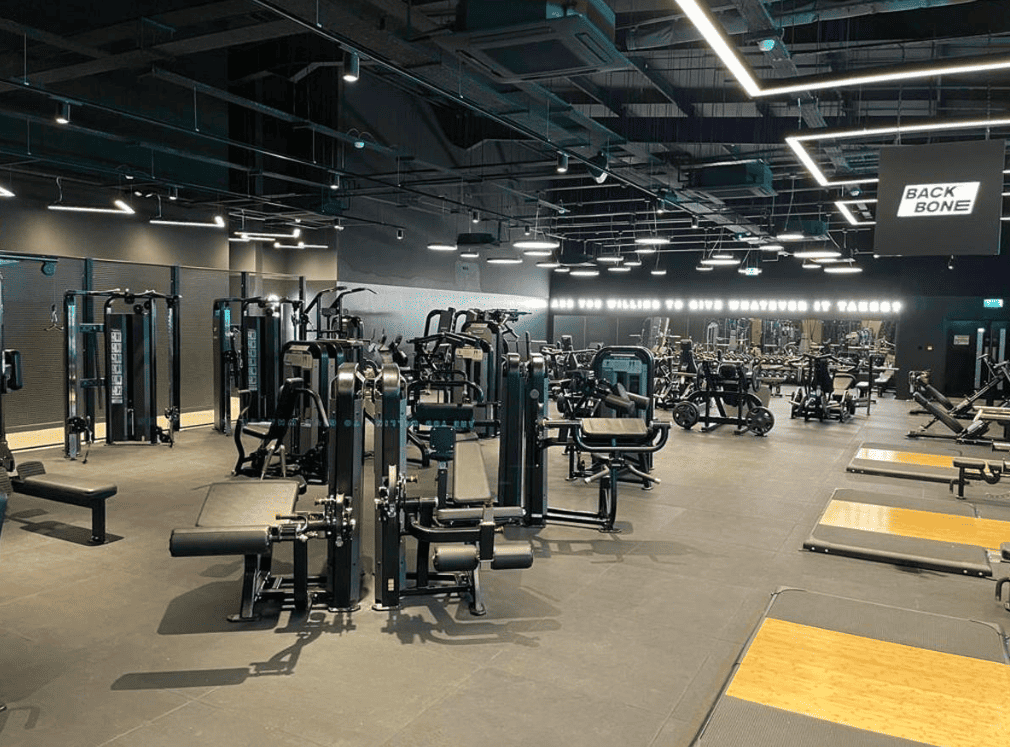 Everlast Gym: Blending Tradition with Modernity in Fitness Industry ...