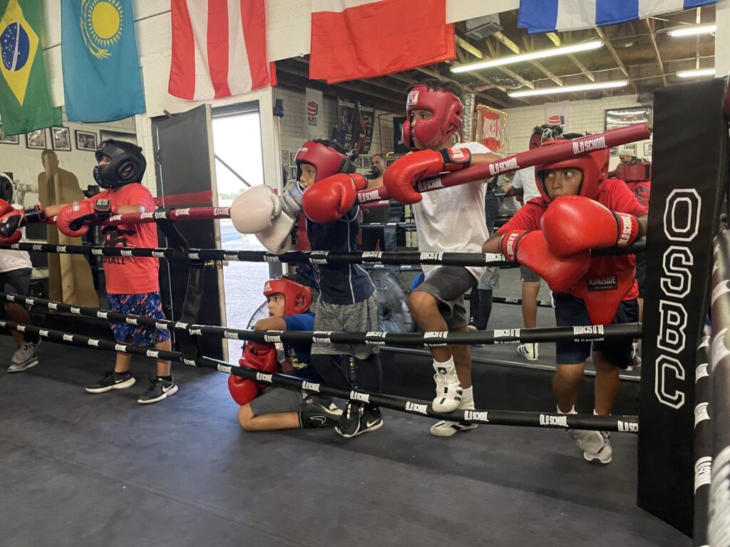 platinum boxing gym